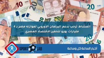 المشاط ترحب بدعم البرلمان الأوروبي لموازنة مصر بـ 4 مليارات يورو لتحفيز الاقتصاد المصري